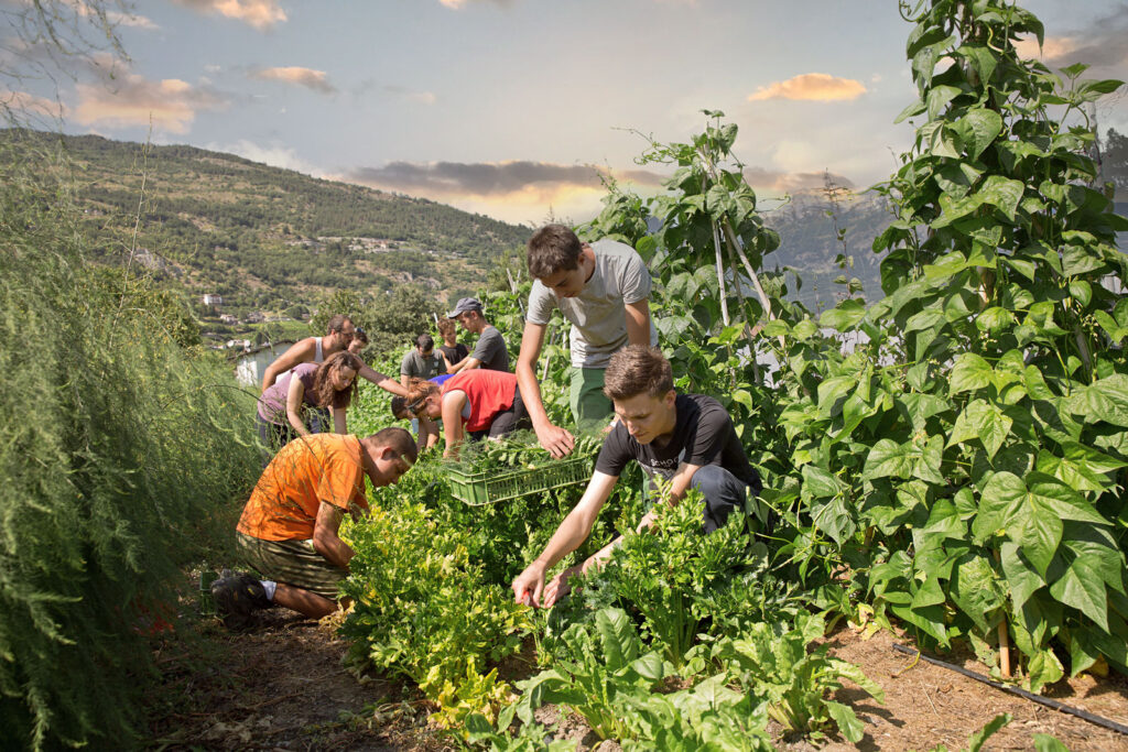 Sostenibilità Paolo griffa 3